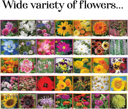  Flower Seeds 35 Individual Varieties Perennial, Annual, Wildflower Seeds