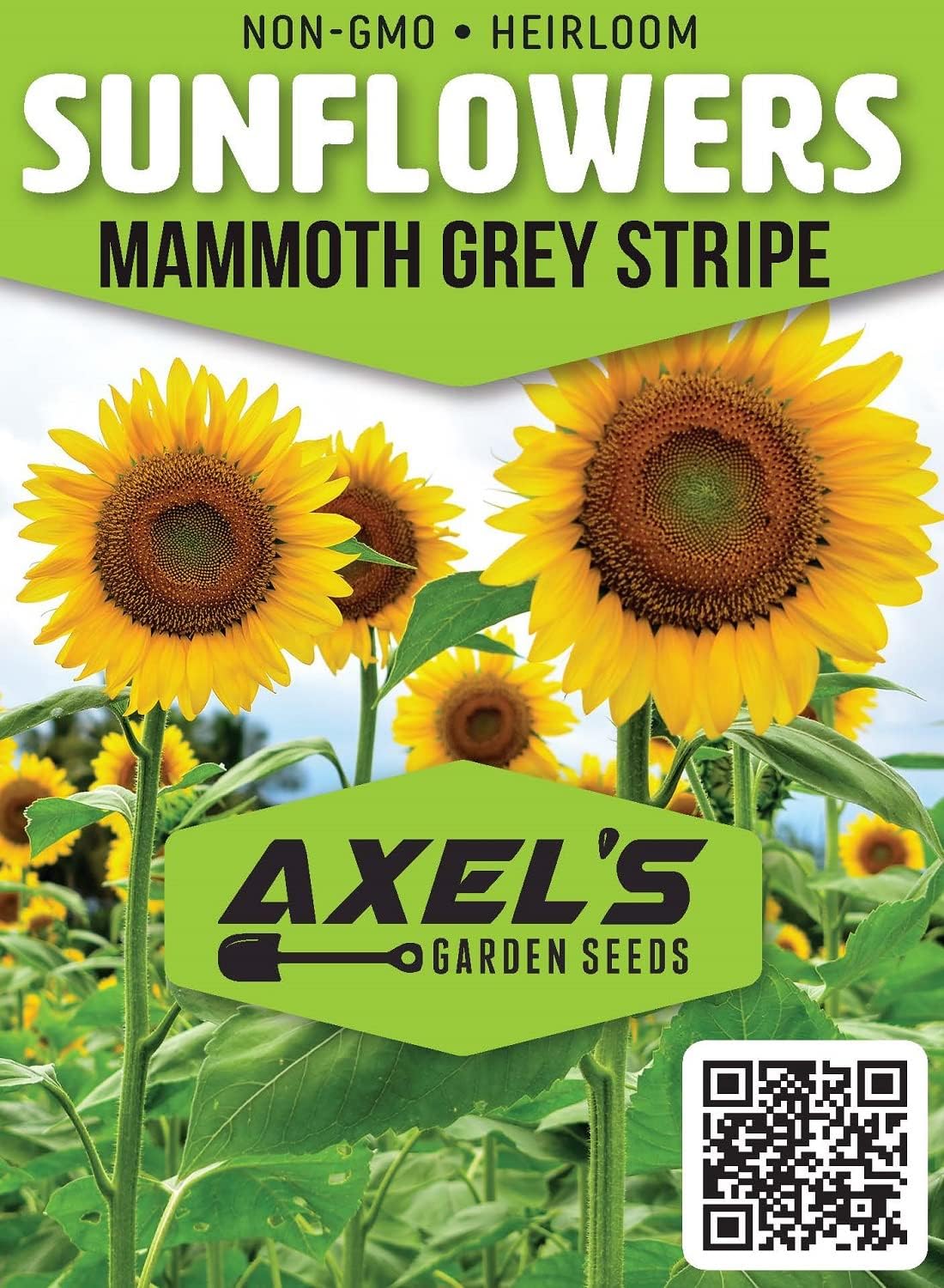 Mammoth Sunflower Seeds for Planting - Grow Giant Sun Flowers in Your Garden - 50 Non GMO Heirloom Seeds - Full Planting Instructions for Easy Grow - Great Gardening Gifts (1 Packet)