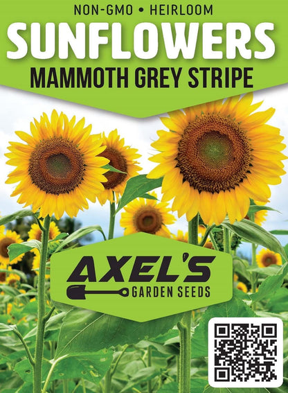 Mammoth Sunflower Seeds for Planting - Grow Giant Sun Flowers in Your Garden - 50 Non GMO Heirloom Seeds - Full Planting Instructions for Easy Grow - Great Gardening Gifts (1 Packet)