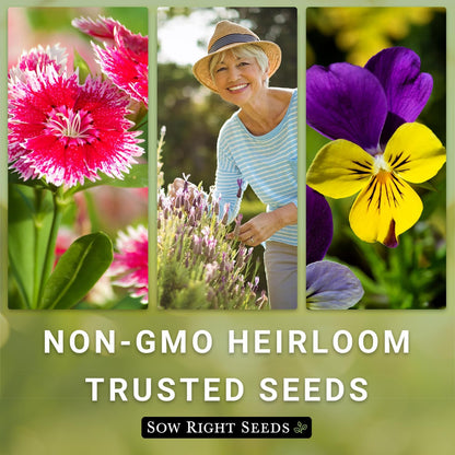 Tetra Mix Snapdragon Flower Seeds- Non-Gmo Heirloom