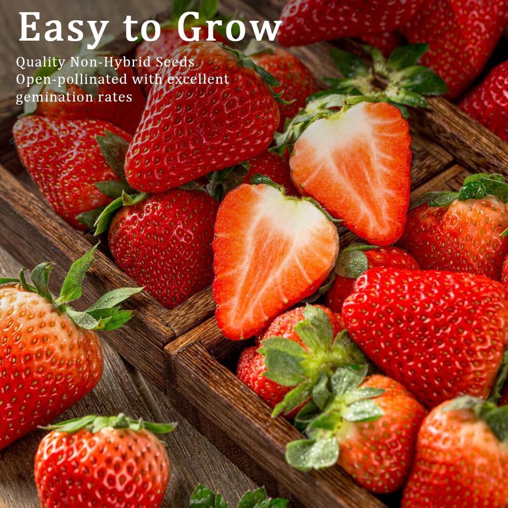 1200+ Mix Fruit Seeds, Berry Seeds - 6 Variety Non-Gmo Heirloom Organic