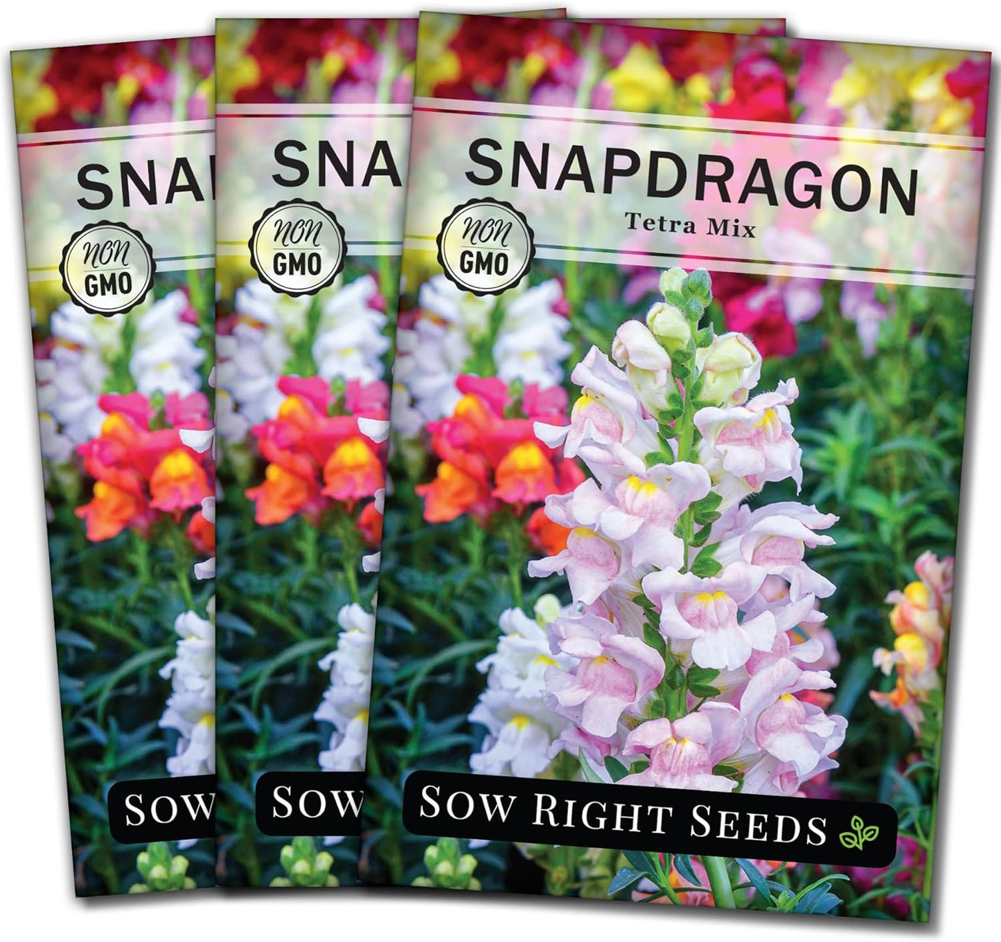 Tetra Mix Snapdragon Flower Seeds- Non-Gmo Heirloom