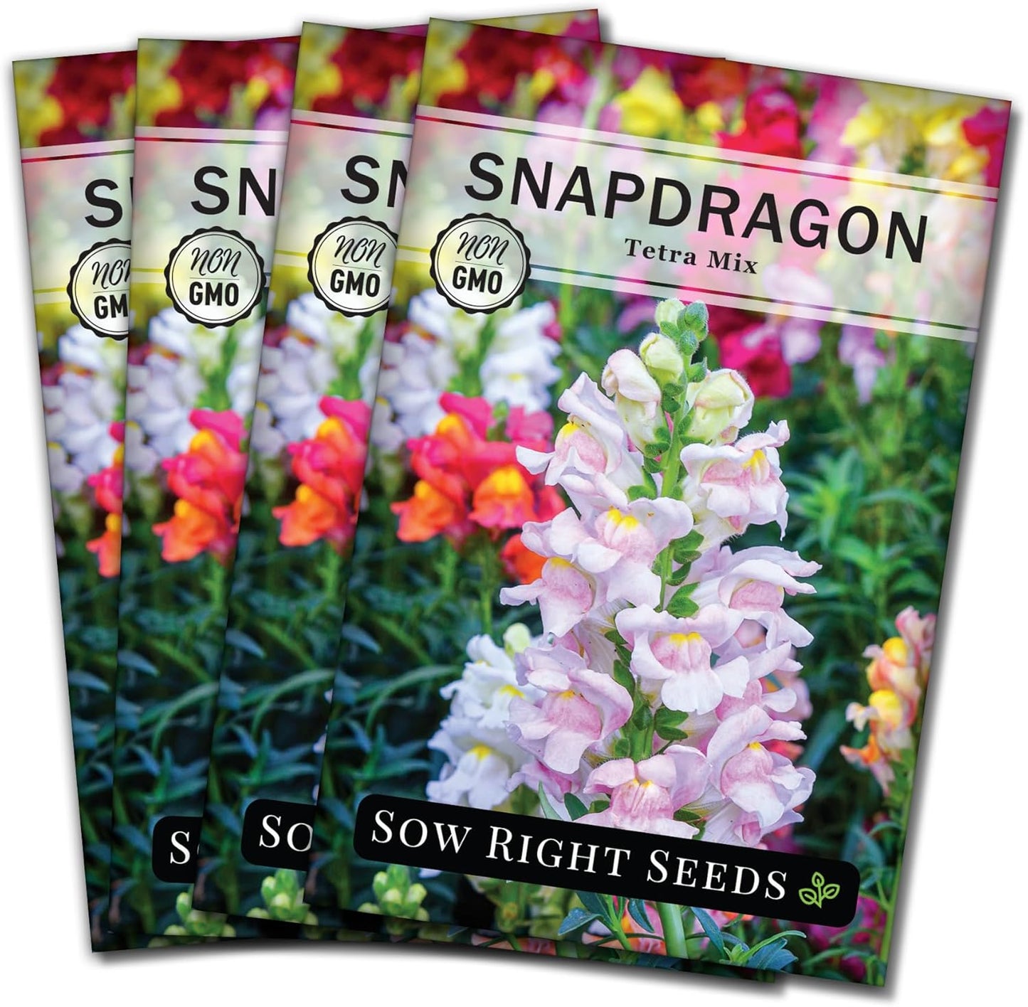 Tetra Mix Snapdragon Flower Seeds- Non-Gmo Heirloom