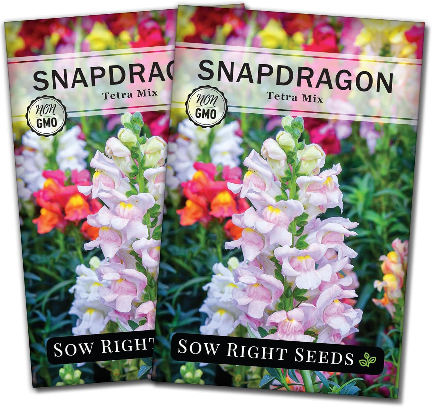 Tetra Mix Snapdragon Flower Seeds- Non-Gmo Heirloom