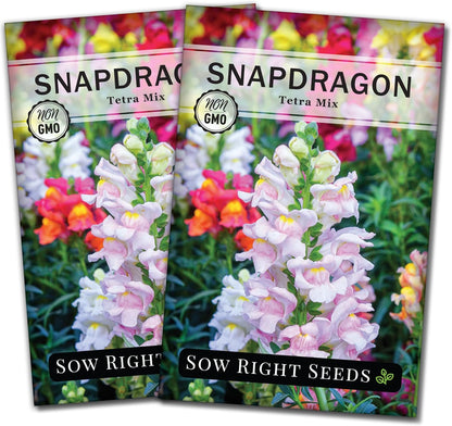 Tetra Mix Snapdragon Flower Seeds- Non-Gmo Heirloom