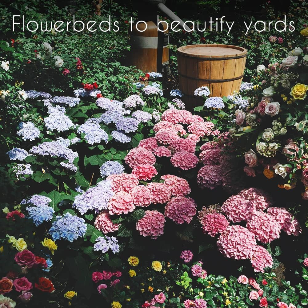  Flower Seeds 35 Individual Varieties Perennial, Annual, Wildflower Seeds