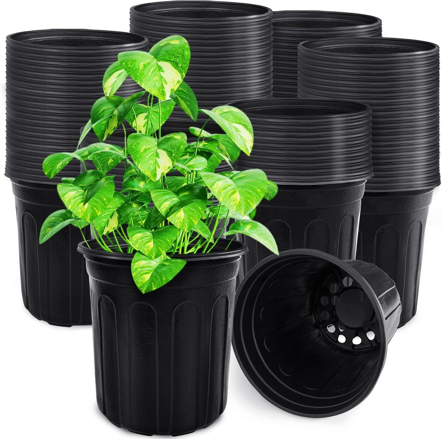 60 Pcs 1 Gallon Flexible Plant Nursery Pots, (Black)