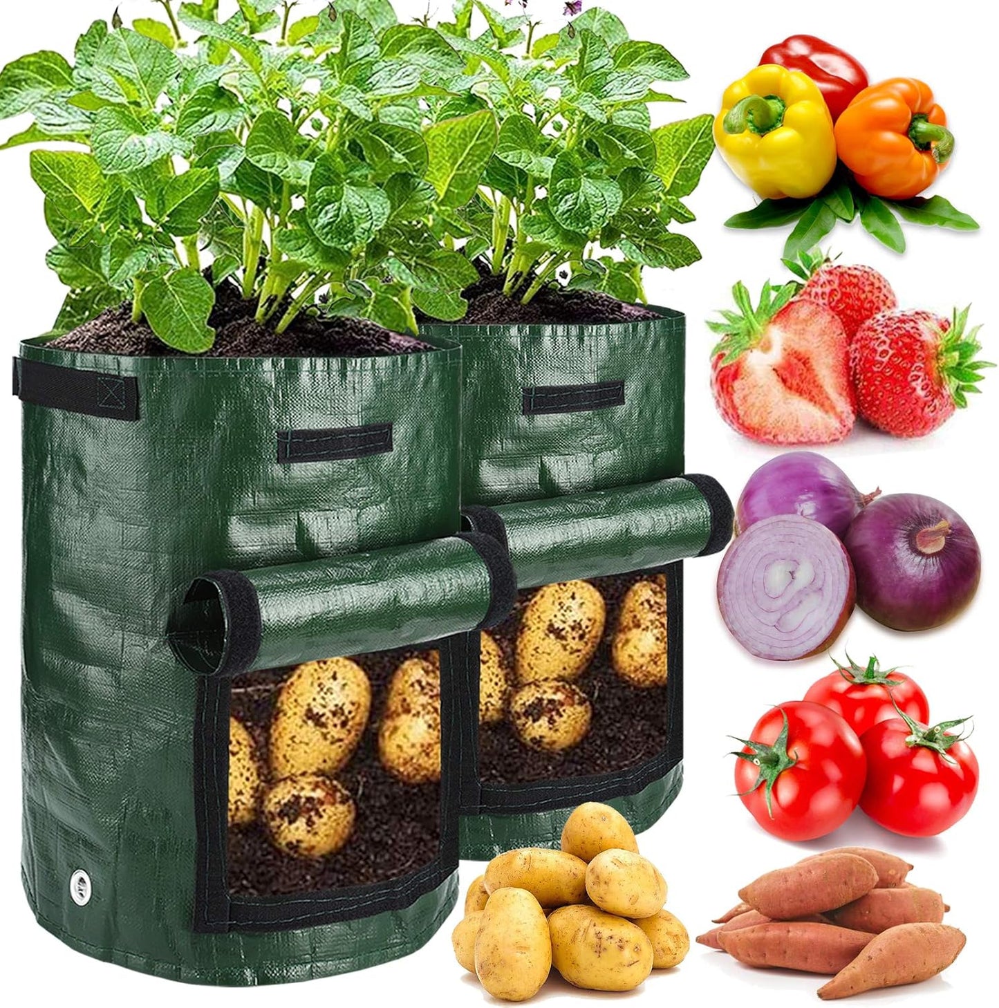 Potato Grow Bags, 4 Pack 10 Gallon