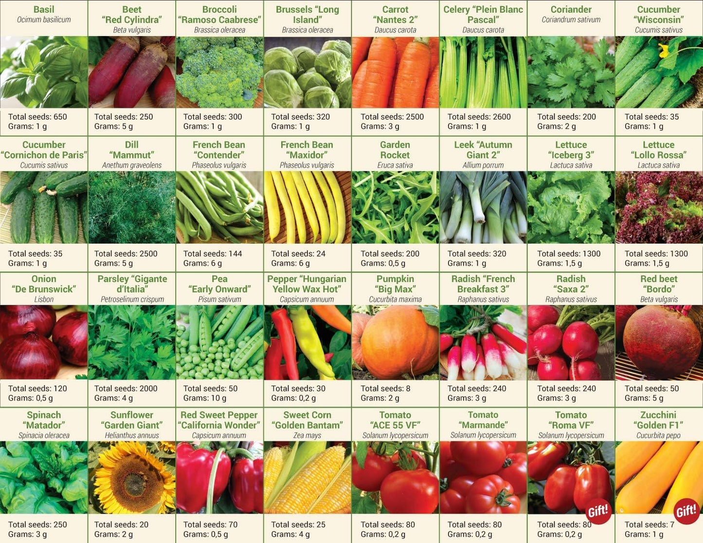 30 Vegetable Seeds Variety Kit - over 15000 Seeds