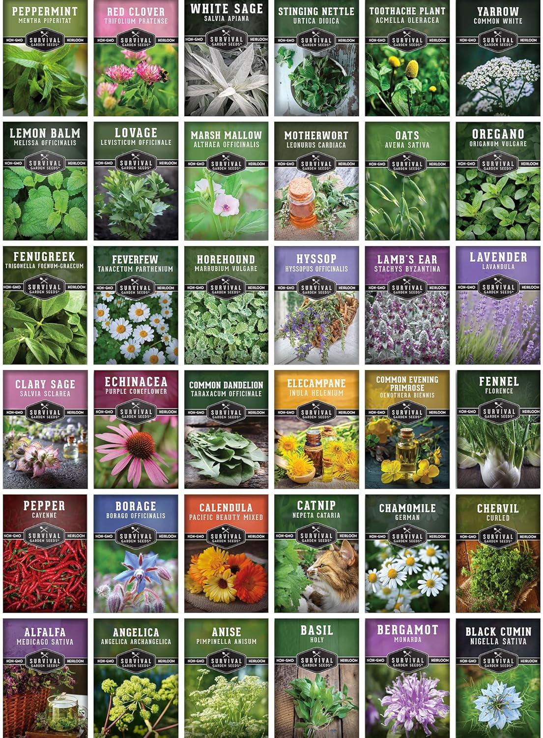 Ultimate Medicinal Herbs Collection - 36 Variety Pack of Herb Seeds- Non-Gmo Heirloom