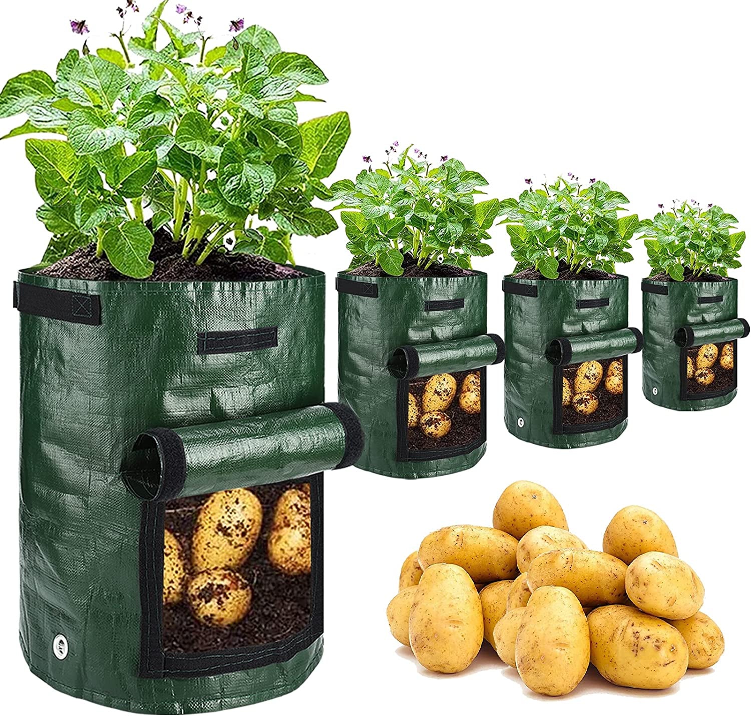 Potato Grow Bags, 4 Pack 10 Gallon